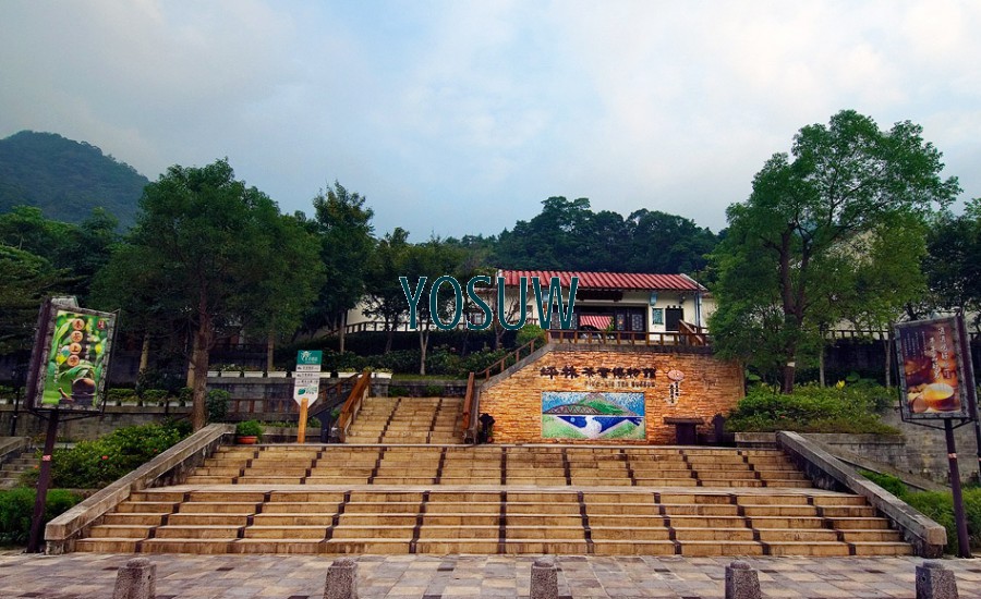 坪林茶業博物館.jpg